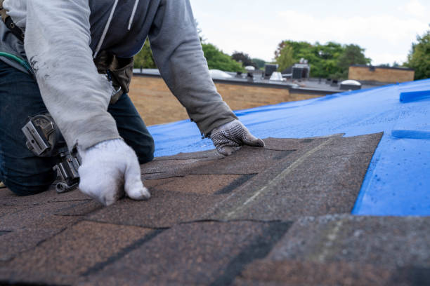 Best Roof Gutter Cleaning  in Advae, NC