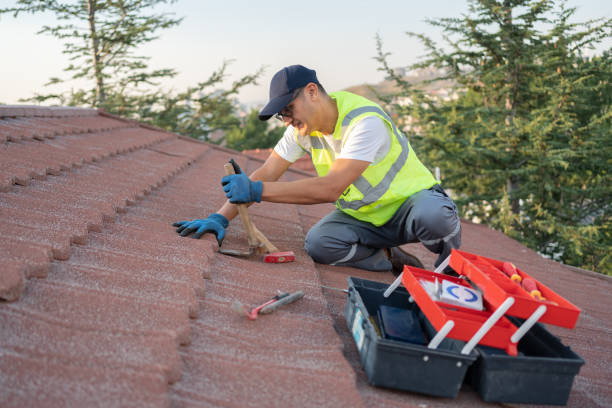 Best Storm Damage Roof Repair  in Advae, NC